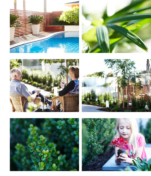 lawn and garden services