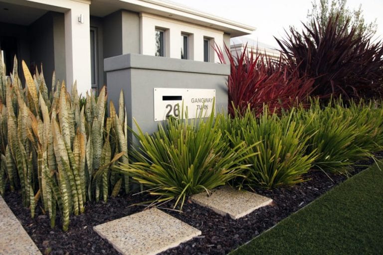 Alkimos Instagardens Landsdale Garden Landscape Design