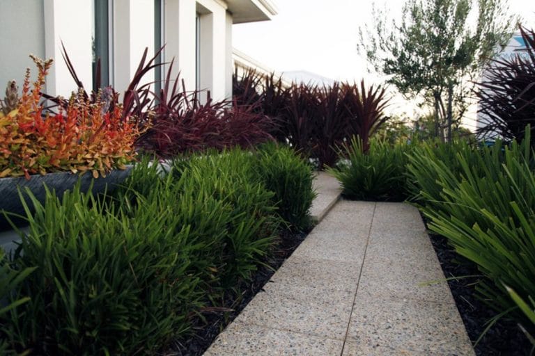 Alkimos Instagardens Landsdale Garden Landscaping