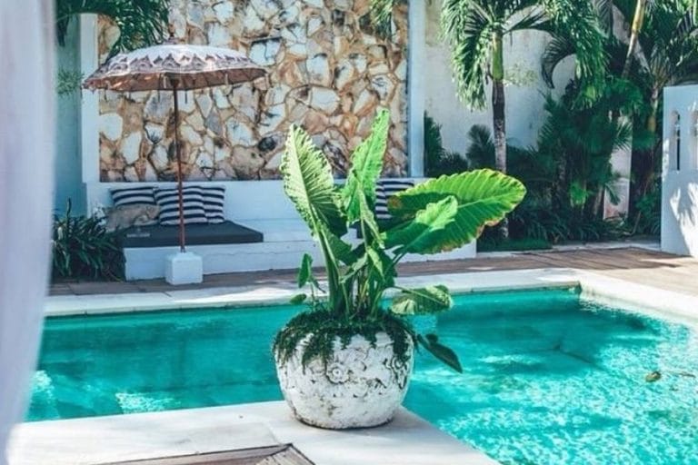 Instagardens Landsdale Pool Design Landscaping