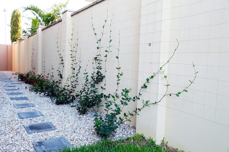 Landscaping Instagardens Landsdale Garden Design