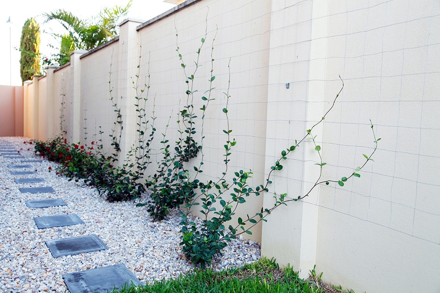 RESIDENTIAL LANDSCAPERS