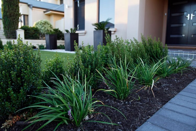 Landscaping Instagardens Landsdale Stirling Home Gardens